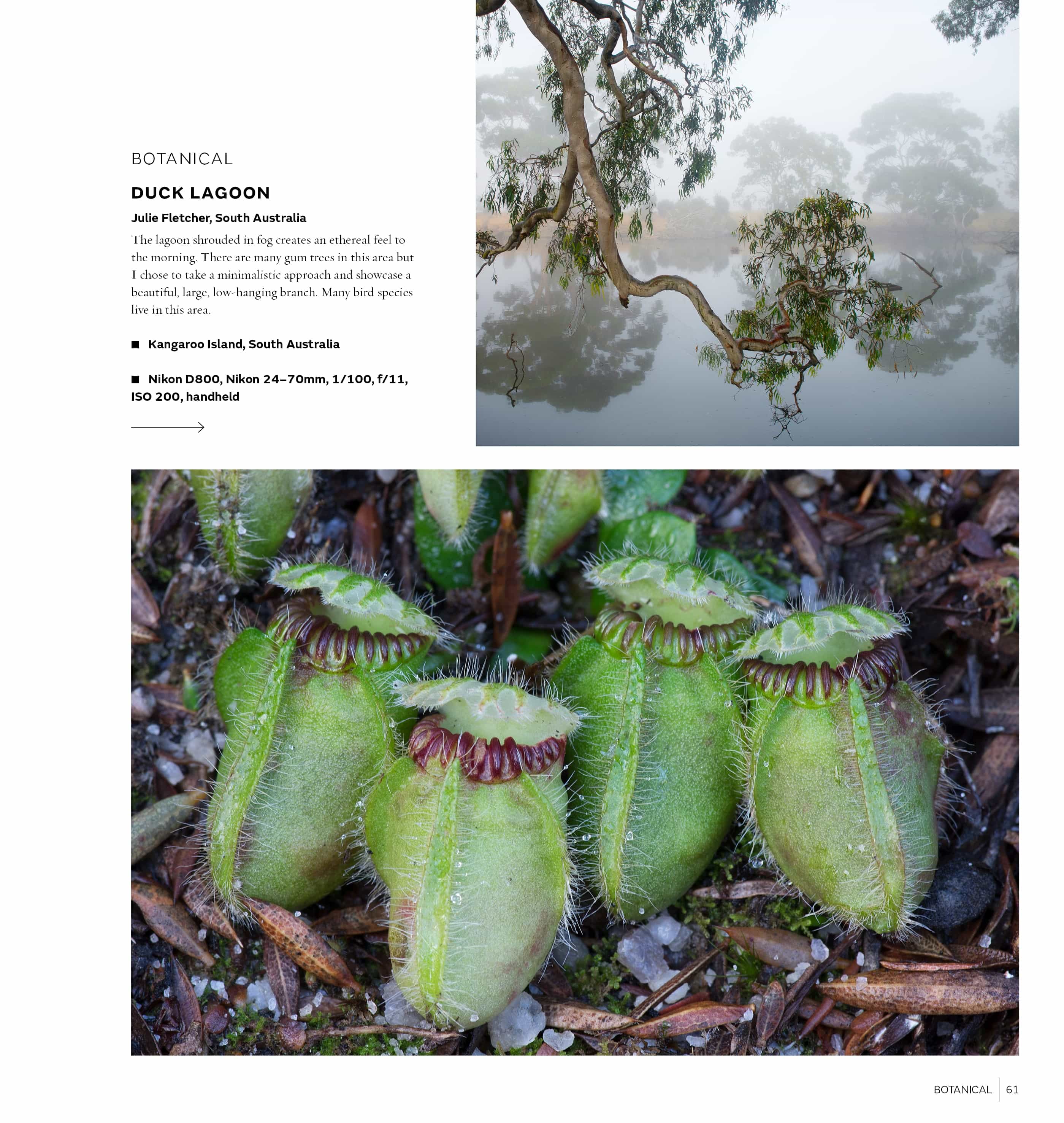 Australasian Nature Photographer of the Year Book 2017 (14th edition) - Image 5